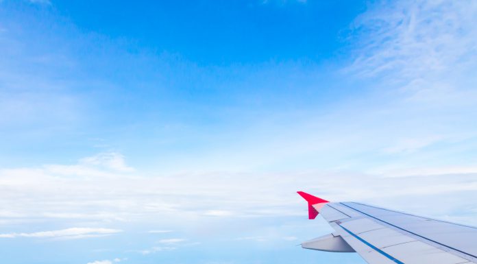 כשהמשפחה פוגשת את הטבע