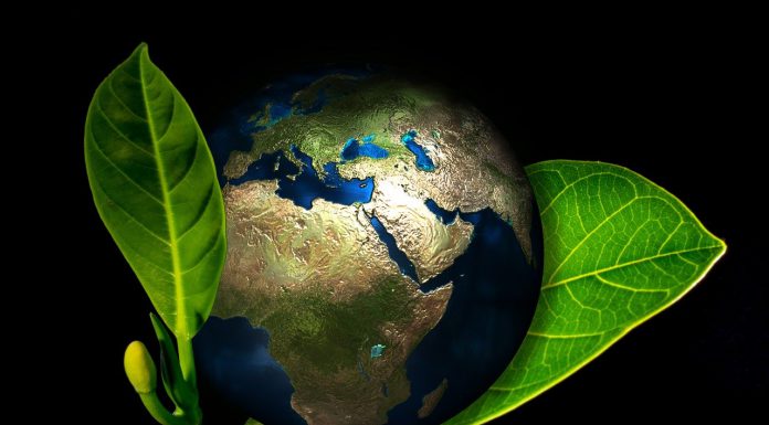 לשמור על אוויר נקי – כדי שכולם יוכלו לנשום לרווחה לשמור על אוויר נקי – כדי שכולם יוכלו לנשום לרווחה