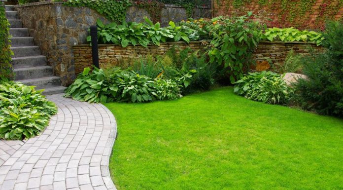 עבודות גובה בסנפלינג