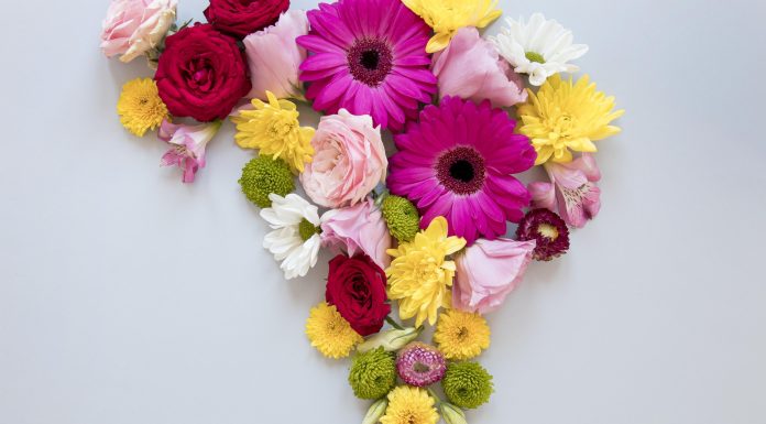 חנות פרחים באר שבע