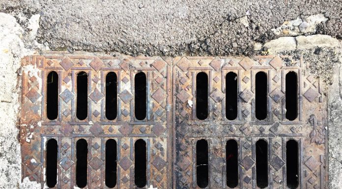 ניקוי שורשים בביוב – ההחלטה הנכונה למערכת ביוב תקינה ניקוי שורשים בביוב