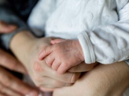 מקלט לנשים נפגעות אלימות וילדיהן מקלט לנשים נפגעות אלימות וילדיהן