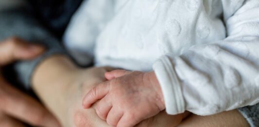 מקלט לנשים נפגעות אלימות וילדיהן מקלט לנשים נפגעות אלימות וילדיהן