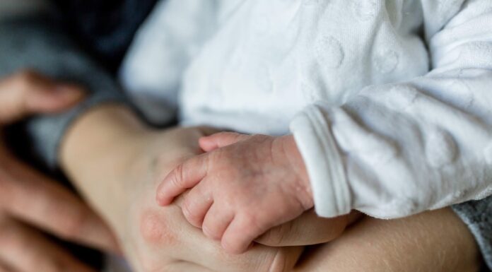 מקלט לנשים נפגעות אלימות וילדיהן